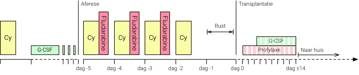 Singapore-1170x247 HSCT protocol Singapore
