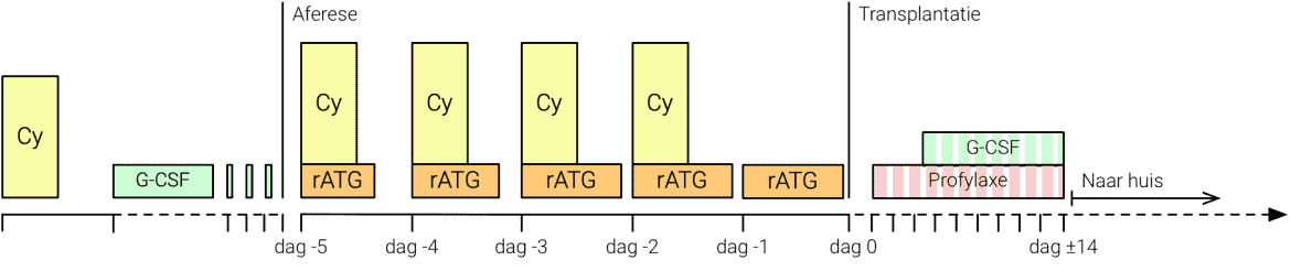 nonmyelo-1170x246 non-myelo HSCT protocol